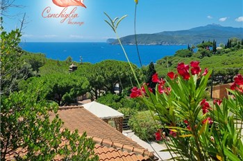 Appartamenti Conchiglia Vacanze