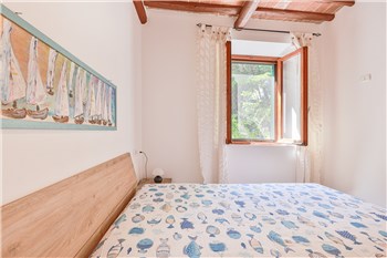 Pinetina rossa e blu