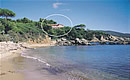 Appartamenti Villa Felciaio